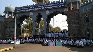 Students at Karnataka Veterinary, Animal & Fisheries Science University in Bidar