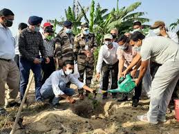 Plantation Sher-e-Kashmir University of Agricultural Science & Technology in Srinagar	