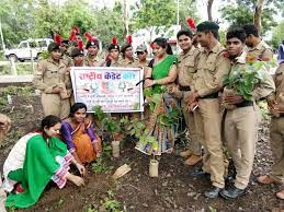 Plantation Kamla Nehru College (KNC) Korba in Korba