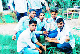 Plantation U.P. Pandit Deen Dayal Upadhyaya Pashu Chikitsa Vigyan Vishwavidhyalaya Evam Go-Anusandhan Sansthan in Mathura