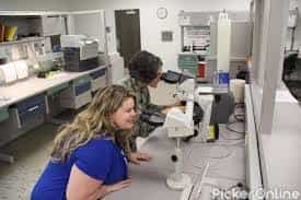 VCCA Practical Lab