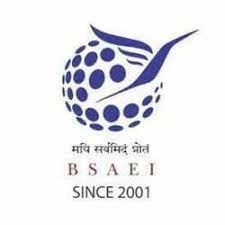 BSAEI for logo