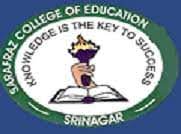 SCE Logo