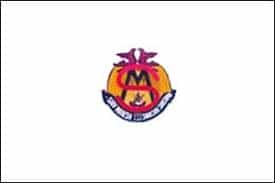 SMSS logo