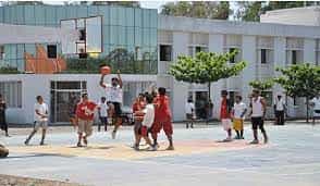Image for Mahakal Institute of Pharmaceutical Studies (MIPS), Ujjain in Ujjain