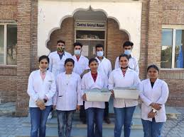 Students at Maharaja Ranjit Singh Punjab Technical University in Bathinda	