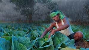 Farming Orissa University Of Agriculture And Technology (OUAT), Bhubaneswar in Bhubaneswar