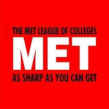 METSAID logo