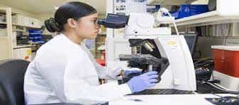 Lab Indian Paramedical Institute (IPI, Nagpur) in Nagpur