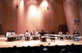 Auditorium Shri Ram Centre for Performing Arts (SRCPA), New Delhi