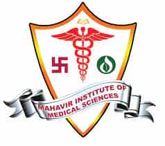 MIMSR Logo
