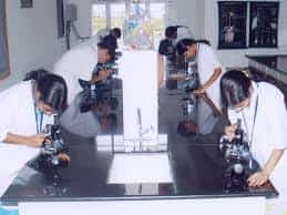 Image for Vignan Institute of Pharmaceutical Sciences (VIPS), Nalgonda in Nalgonda