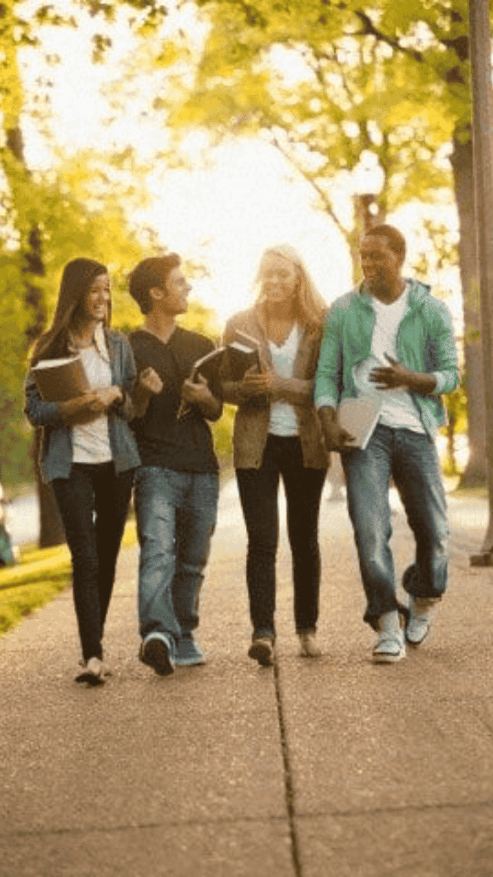 difference between bba and bca course