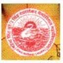 MSSSDMM logo