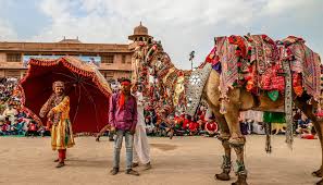 Fastivals Photo National Research Centre On Camel, Bikaner in Bikaner