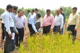 Image for Shaheed Gundadhur College of Agriculture and Research (SGCARS), Raipur  in Raipur