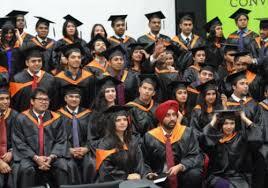 SOIL Institute of Management Degree Distribution