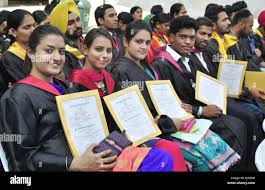 GNGC Degree Distribution