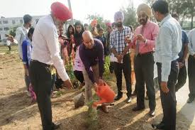 Tree Plantation Shaheed Udham Singh College of Engineering And Technology (SUSCET, Mohali) in Mohali