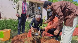 Plantation Central Tribal University of Andhra Pradesh in Vizianagaram	