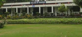 Image for College of Fisheries, Ludhiana in Ludhiana