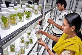 Practical Lab D Y Patil Agriculture and Technical University in Kolhapur