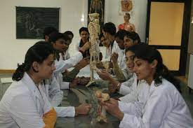 Image for Sree Chaitanya Institute of Pharmaceutical Sciences (SCIPS), Karimnagar in Karimnagar	