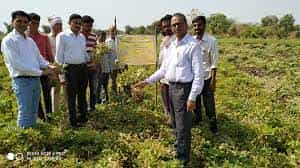 Image for Krishi Vigyan Kendra, Jalgaon in Jalgaon