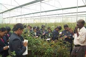 Field Training Photo Kumaraguru Institute Of Agriculture (KIA), Erode in Erode