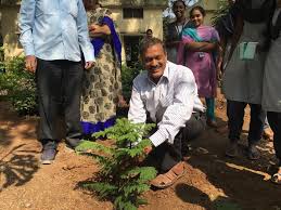 Tree Plantation Government Polytechnic for Women Guntur (GPWG, Guntur) in Guntur