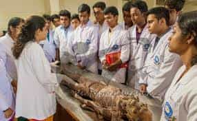 Training Photo KS Hegde Medical Academy - [KSHEMA], Mangalore  in Mangalore