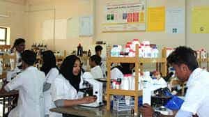 Image for Moulana Institute of Paramedical Sciences Angadippuram, Malappuram  in Malappuram