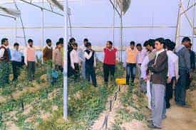 Students Balram Mahavidyalaya in Prayagraj