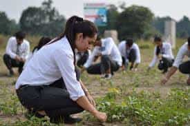 Image for College of Agriculture, Dhule in Dhule