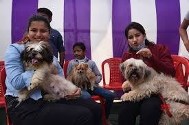 Image for Bihar Veterinary College (BVC), Patna  in Patna