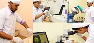 Image for SVPM'S College of Pharmacy Malegaon, Pune in Pune