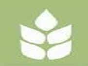 CCL Logo