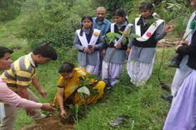 Pharmar  College ofHorticulture, Veer Chandra Singh Garhwali Uttarakhand University in Haridwar	