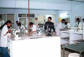 Image for Fathima College of Pharmacy Kadayanallur (FCPK), Tirunelveli in Tirunelveli	