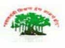 SPMM Logo