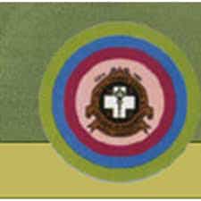 DHLTCP Logo