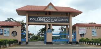 Main Gate Central Agricultural University in Imphal West	