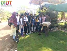 DIDT Plantation