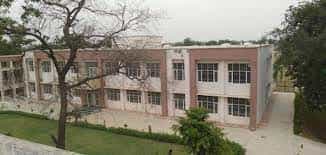 campus H.L.G Govt. College Tauru in Mewat