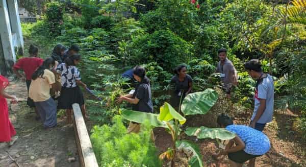 Image for Government College Tripunithura, Ernakulam in Ernakulam
