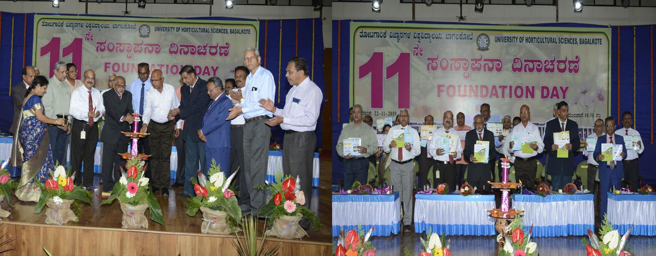 Staff Meeting at University of Horticultural Sciences in Bagalkot