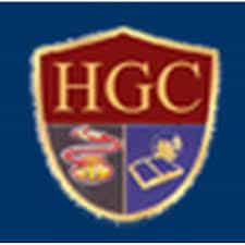 HINS for logo