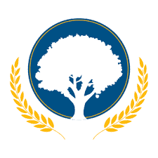 CCN Logo