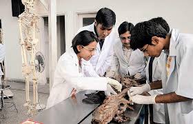 Practical Room ofKurnool Medical College in Kurnool	