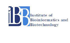 IBB Logo